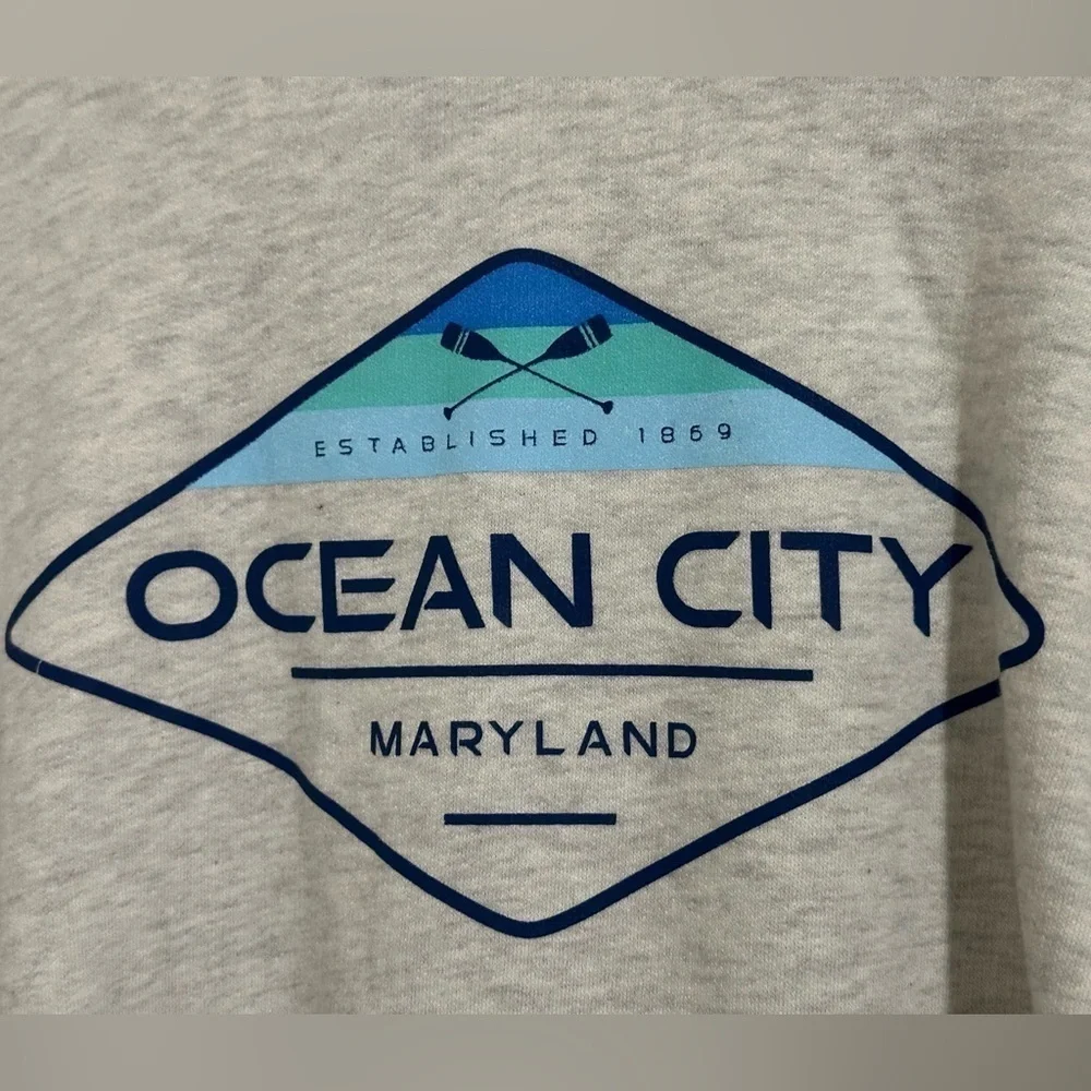 Brand new Sunsations hoodie in grey & navy. Size XL.